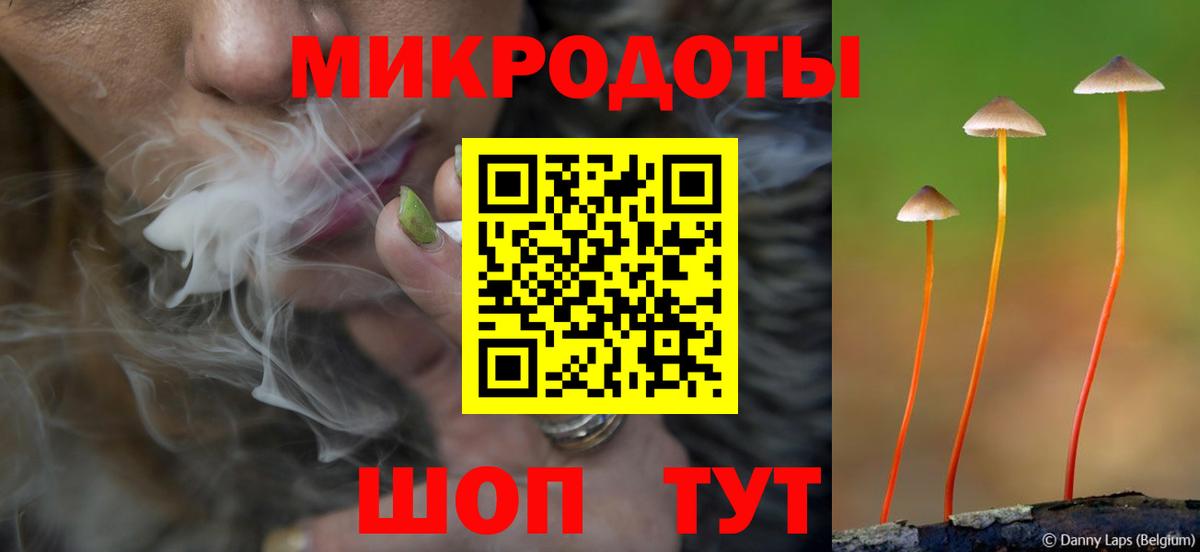 Лесосибирск  Галлюциногенные грибы мухоморы  Галлюциногенные грибы Psilocybe  Вход с VPN 